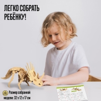 Деревянный конструктор &laquo;Скелет Трицератопса&raquo;