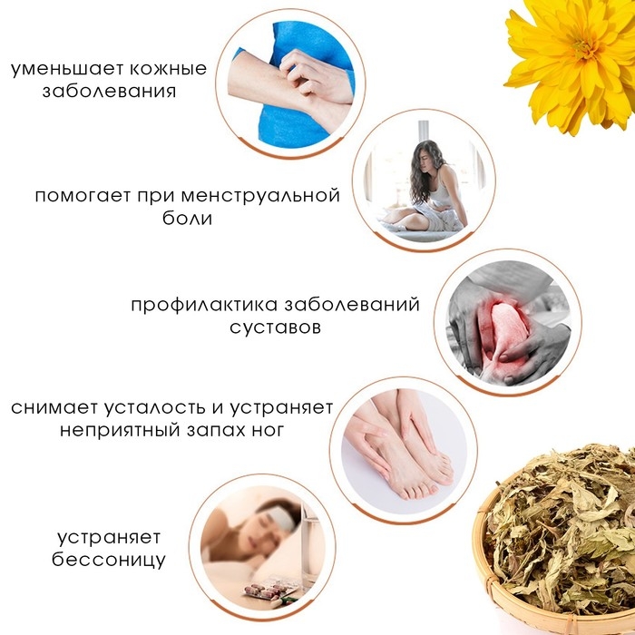 Травяной сбор для запарки ног Травяной сбор для запарки ног "Полынь и хризантема", набор 5 шт