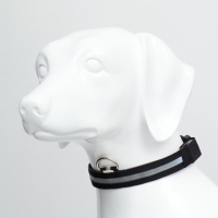 Ошейник с подсветкой размер М, ОШ 40-48 х 2,5 см, 3 режима свечения чёрный