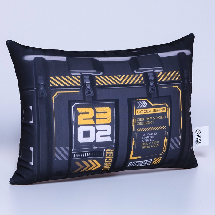 Подушка антистресс &laquo;Мир принадлежит тебе&raquo;, 30 х 22 см