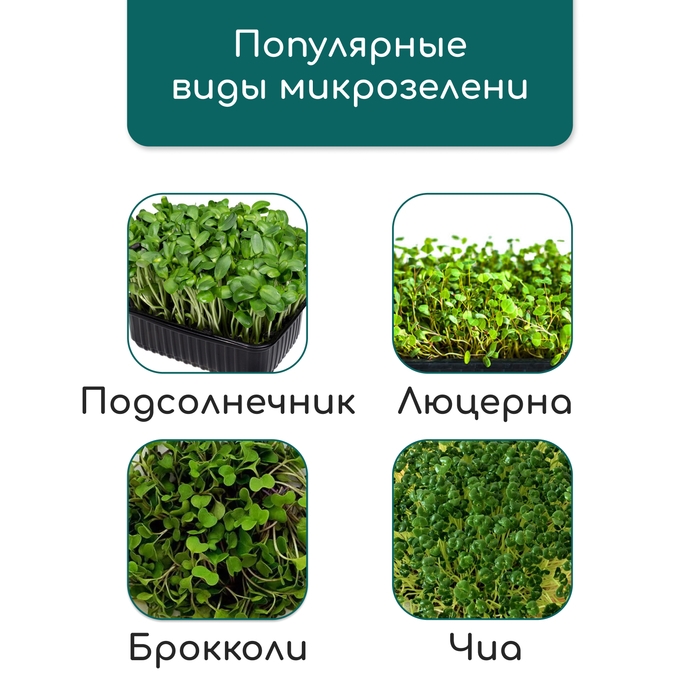 Коврик из кокосового волокна, для выращивания микрозелени, 50 &times; 25 см, Greengo