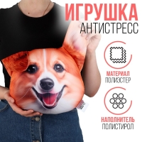 Антистресс подушка, собака &laquo;Корги&raquo;
