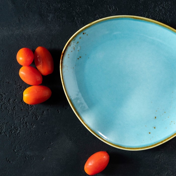 Блюдо фарфоровое для подачи Magistro «Церера», 18,2×16,3 см, цвет голубой Блюдо фарфоровое для подачи Magistro «Церера», 18,2×16,3 см, цвет голубой