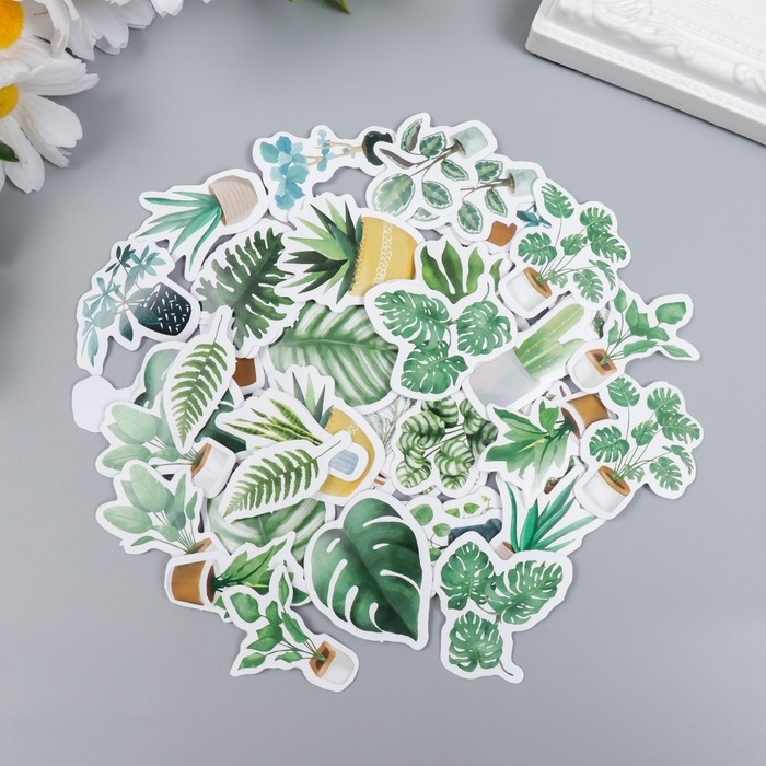 Наклейки для творчества Наклейки для творчества "Домашние растения" набор 46 шт 6,3х4,3х1,1 см