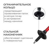 Палки для скандинавской ходьбы ONLYTOP, телескопические, 3 секции, до 135 см, 2 шт., цвет МИКС Палки для скандинавской ходьбы ONLYTOP, телескопические, 3 секции, до 135 см, 2 шт., цвет МИКС