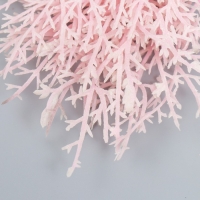 Искусственное растение для творчества "Можжевельник" 1 букет=10 веточек розовый 15 см Искусственное растение для творчества "Можжевельник" 1 букет=10 веточек розовый 15 см