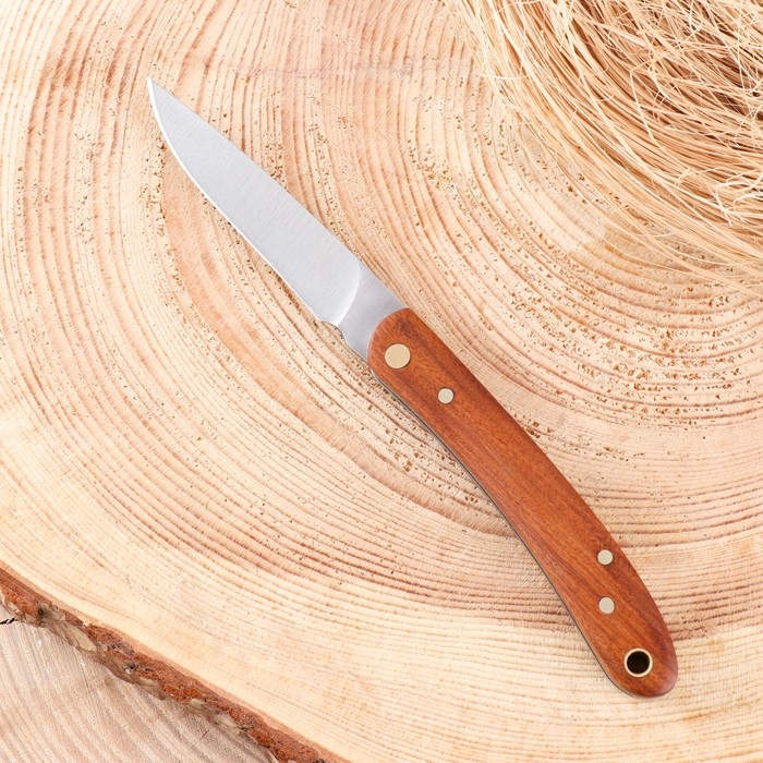 Нож складной Нож складной "Засада" 16см, клинок 71мм/2,5мм, рукоять дерево