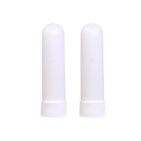 Ингалятор с эфирным маслом мяты и эвкалипта, набор 2 шт