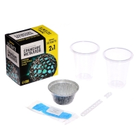 Набор для опытов «Сражение металлов» Набор для опытов «Сражение металлов»