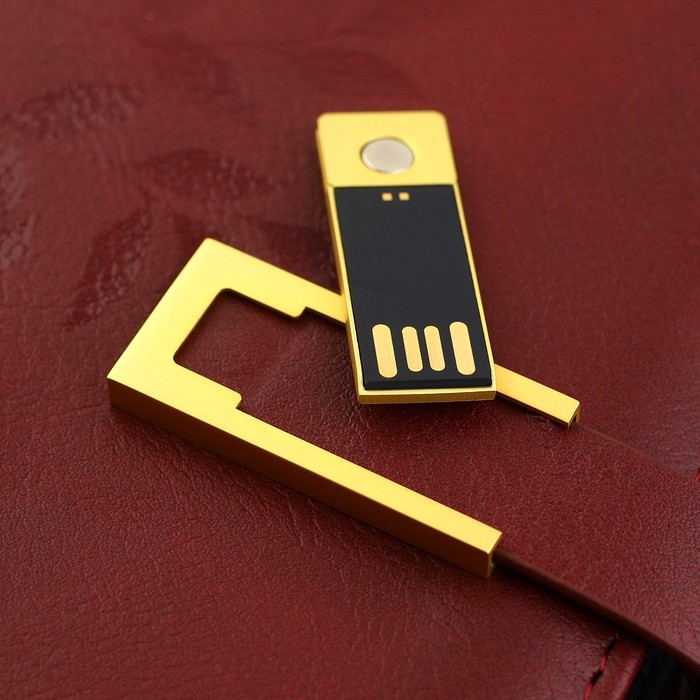 Родословная книга со встроенной флешкой 16 Gb &laquo;Книга всей семьи&raquo;, 17,5 х 23 см.