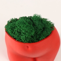 Предмет интерьера "Невинный вид" высота 7см, ширина 8,5см красный со мхом (мох зелен. стаб 1041209 Предмет интерьера "Невинный вид" высота 7см, ширина 8,5см красный со мхом (мох зелен. стаб 1041209