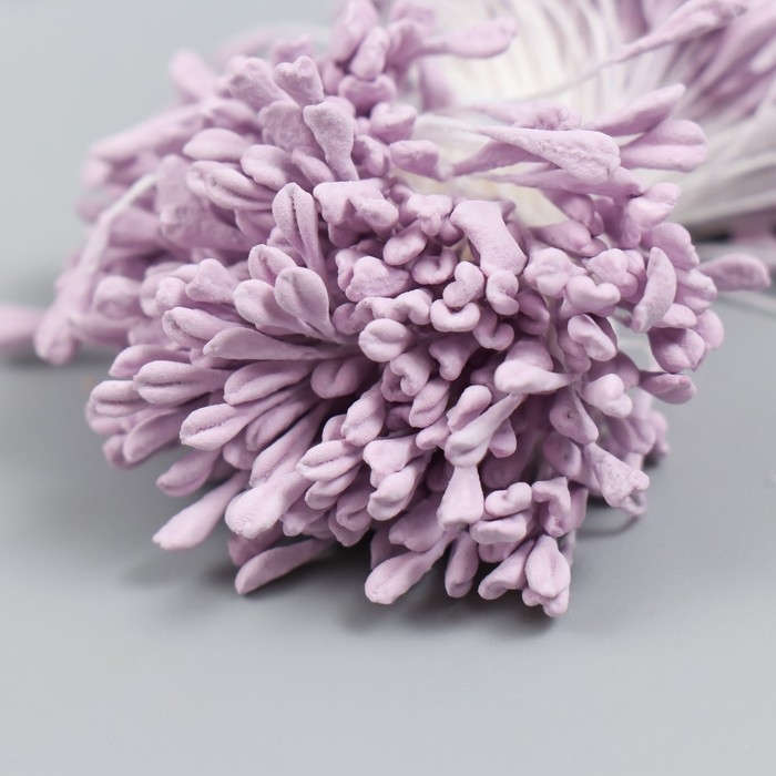 Тычинки для цветов "Сирень" набор 360 шт длина 6 см