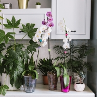 Горшок для орхидей, 2 л, 14,8 &times; 16,2 см, круглый, пластик, прозрачно-серый