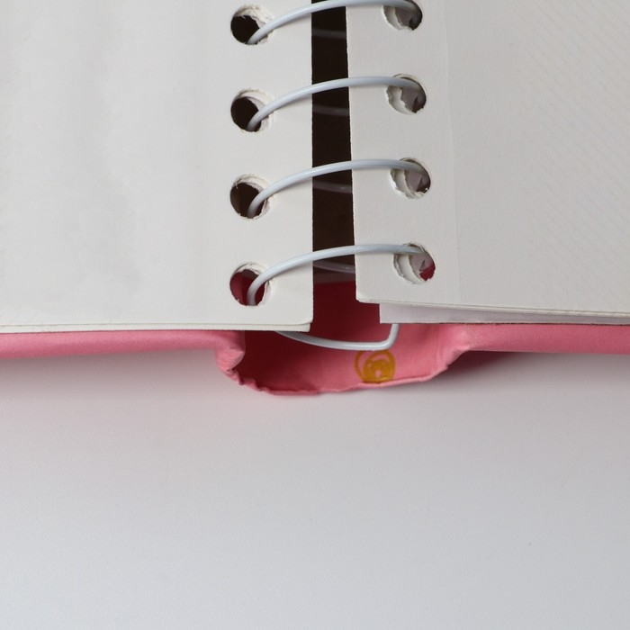 Фотоальбом &laquo;Укрась свой мир&raquo;, 10 магнитных листов