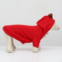 Толстовка "Яблочко", размер ХS (ДС 20, ОГ 32см)