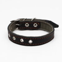 Ошейник комбинированный кожа/брезент, безразмерный, 54 х 2.5 см, ОШ 17-45 см, чёрный Ошейник комбинированный кожа/брезент, безразмерный, 54 х 2.5 см, ОШ 17-45 см, чёрный