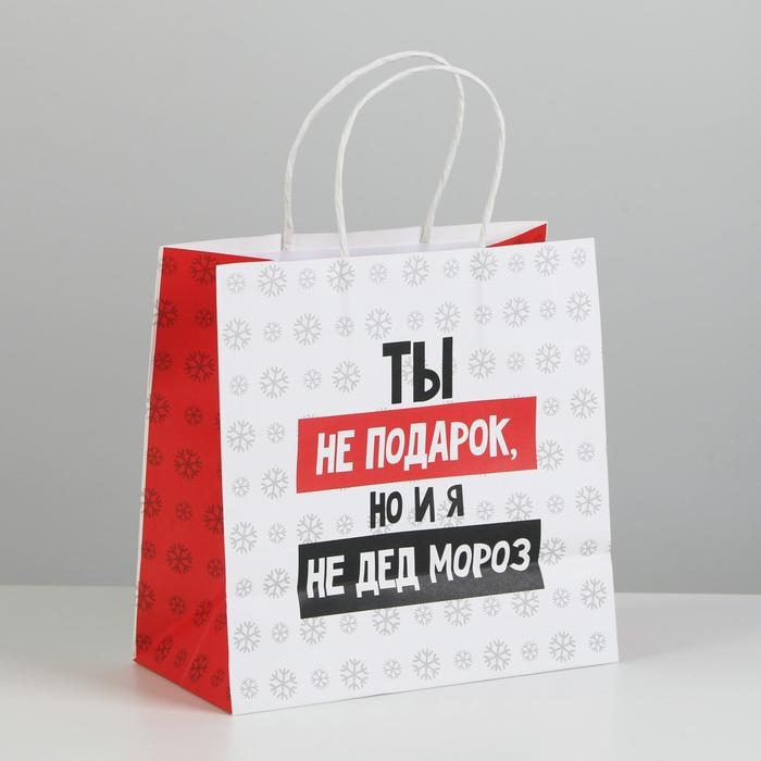 Пакет подарочный новогодний &laquo;Ты не подарок&raquo;, 22 х 22 х 11 см