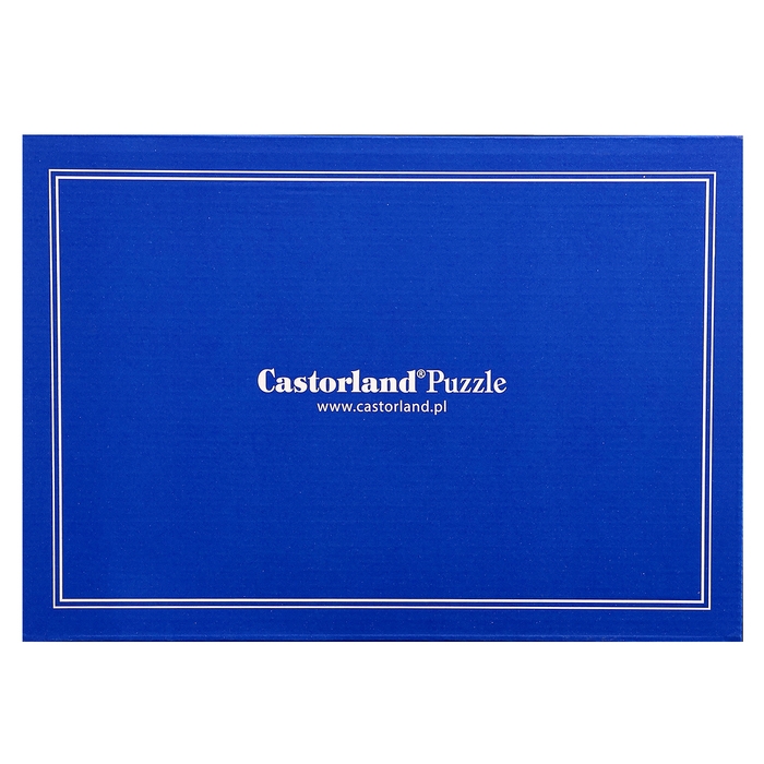 Макси-пазл &laquo;Друзья на ферме&raquo;, 40 элементов