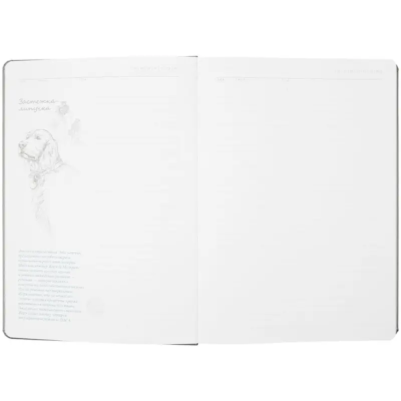 Ежедневник &laquo;История изобретений&raquo;, недатированный, серый