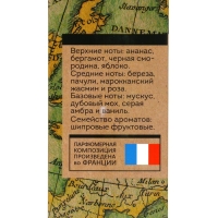 Туалетная вода мужская Vegan Man Studio Great Adventure, 100 мл (по мотивам Aventus (Creed) Туалетная вода мужская Vegan Man Studio Great Adventure, 100 мл (по мотивам Aventus (Creed)