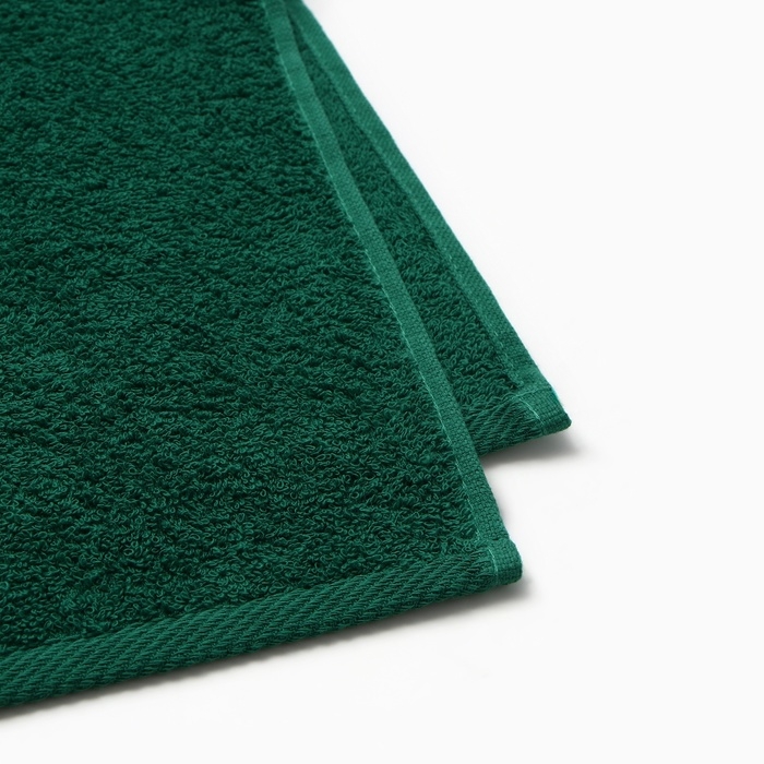 Набор полотенец Этель "Змея" 30х60 см - 2 шт, 100% хлопок, 340 г/м2