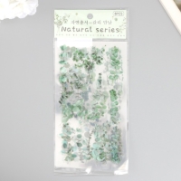 Наклейки пластик "Эвкалипт" набор 6 листов 10х18 см