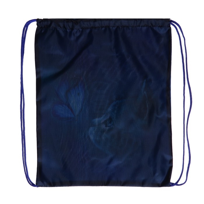 Мешок для обуви 420 х 340 мм, Calligrata МСО-5С, (мягкий полиэстер, плотность 210D), "Котик"