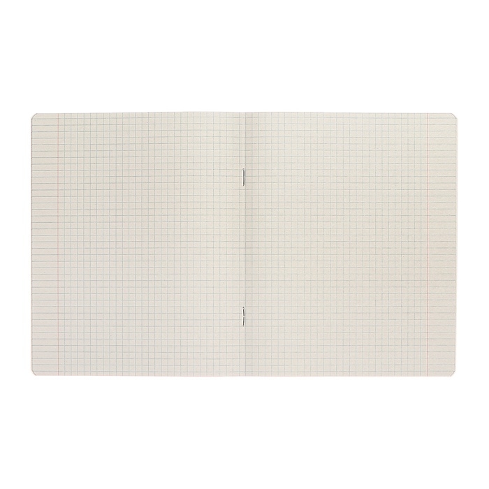 Комплект тетрадей из 10 штук, 12 листов в клетку Calligrata Комплект тетрадей из 10 штук, 12 листов в клетку Calligrata "Однотонная Классика точку. Эконом", обложка мелованный картон, ВД-лак, блок №2, белизна 75% (серые листы), 5 видов по 2 штуки