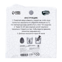 Растущие игрушки &laquo;Диномания&raquo;, с гидрогелем, МИКС