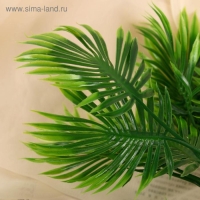 Букет "Дипсис" 30 см