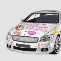 Набор магнитов на авто &laquo;Везем принцессу&raquo;, на выписку, 42 см х 29,7 см