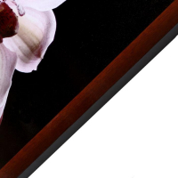 Картина "Цветы на камнях" 67х107 см рамка микс Картина "Цветы на камнях" 67х107 см рамка микс