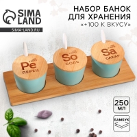 Банки керамические для хранения &laquo;+100 к вкусу&raquo;, 250 мл, 3 шт