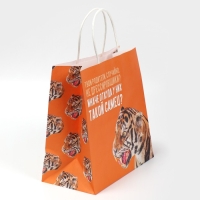 Пакет подарочный, упаковка, &laquo;Самец&raquo;, 22 х 22 х 11 см