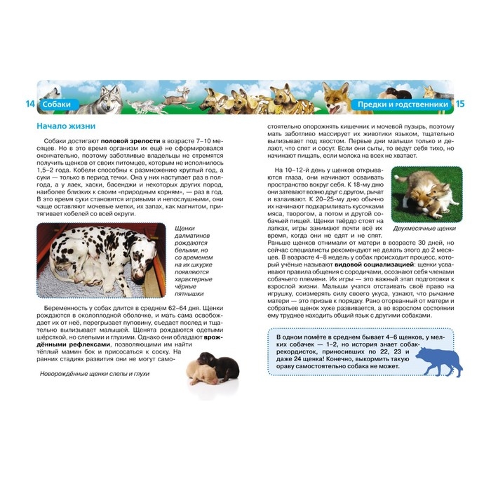 Детская энциклопедия &laquo;Собаки&raquo;