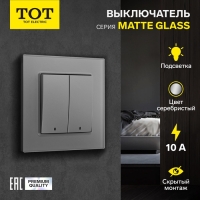 Выключатель TOT Matte Glass, 10 А, 2 кл., с подсветкой, скрытый, стекло, серебристый Выключатель TOT Matte Glass, 10 А, 2 кл., с подсветкой, скрытый, стекло, серебристый