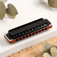 Губная гармошка Music Life T008L  C диатоническая, 10 отверстий, с футляром