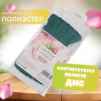 Набор ниток мулине №3808, 8 ± 1 м, 6 шт, цвет тёмно-бирюзовый Набор ниток мулине №3808, 8 ± 1 м, 6 шт, цвет тёмно-бирюзовый