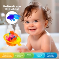 Игровой набор «Весёлая рыбалка», 10 рыбок, сачок Игровой набор «Весёлая рыбалка», 10 рыбок, сачок