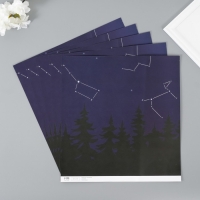 Бумага для скрапбукинга двусторонняя "Созвездия" плотность 180 гр набор 5 шт 30,5х32 см