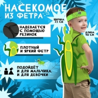 Карнавальный набор «Весёлые насекомые»: повязка и кузнечик из фетра, 3–7 лет Карнавальный набор «Весёлые насекомые»: повязка и кузнечик из фетра, 3–7 лет