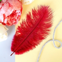 Перо для декора 1 шт., размер 24 см, цвет бордовый Перо для декора 1 шт., размер 24 см, цвет бордовый