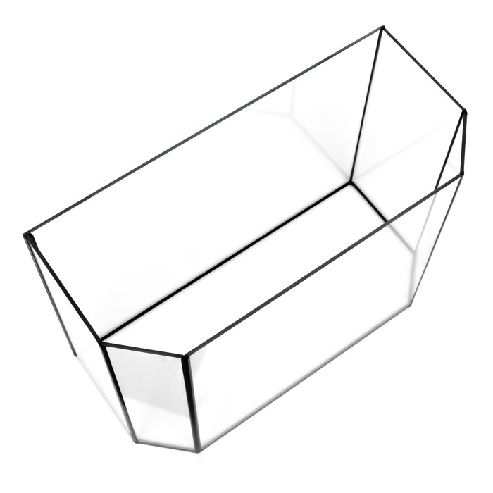 Аквариум "Панорамный" без крышки, 30 литров, 46 х 20 х 33 см