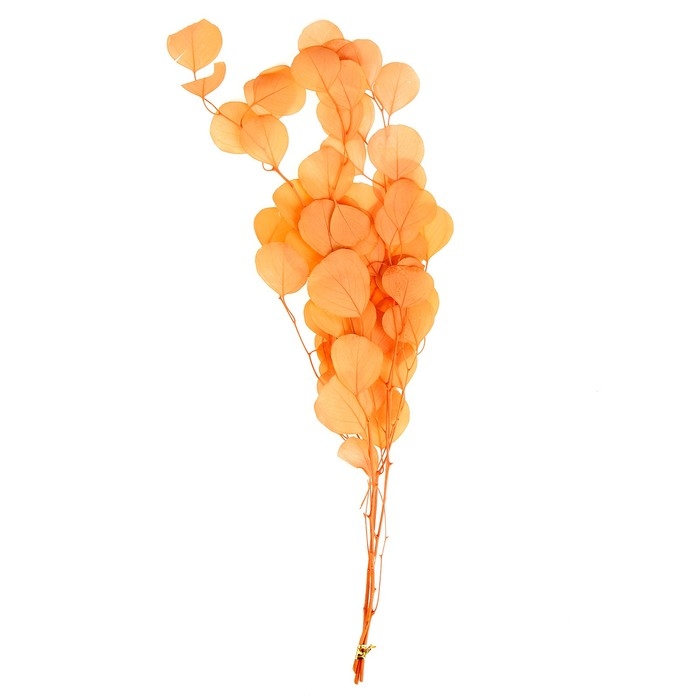 Сухоцвет персикого дерева, 50 г, длина &mdash; 70 см, цвет нежно-розовый