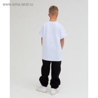 Брюки детские MINAKU: Basic Line KIDS, цвет чёрный, рост 110 Брюки детские MINAKU: Basic Line KIDS, цвет чёрный, рост 110