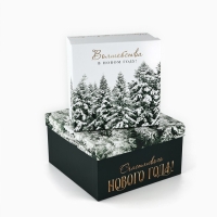 Набор подарочных коробк 5 в 1 &laquo;Снежная зима&raquo;, 14 х 14 х 8&ndash;22 х 22 х12 см, Новый год