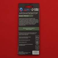 Ароматизатор подвесной Grand Caratt "Золотая Звезда", Яблоко, набор 10 шт