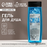 Гель для душа «Стойкость, Сила, Выдержка», 250 мл, аромат ледяной свежести, Новый Год Гель для душа «Стойкость, Сила, Выдержка», 250 мл, аромат ледяной свежести, Новый Год