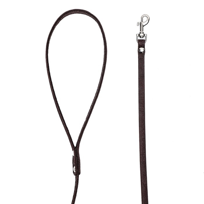 Поводок кожаный тисненый однослойный, 1.4 м х 0,8 см, коричневый