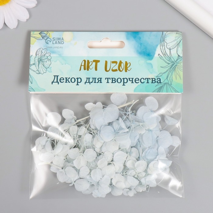 Сухоцвет "Гортензия" нежно-голубой h=6-6,5 см